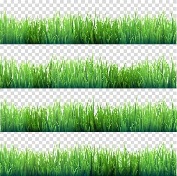 Gras isoliert auf transparentem Hintergrund. grüne Wiese. Natur-Hintergrund. Frühling, Sommerzeit. — Stockvektor