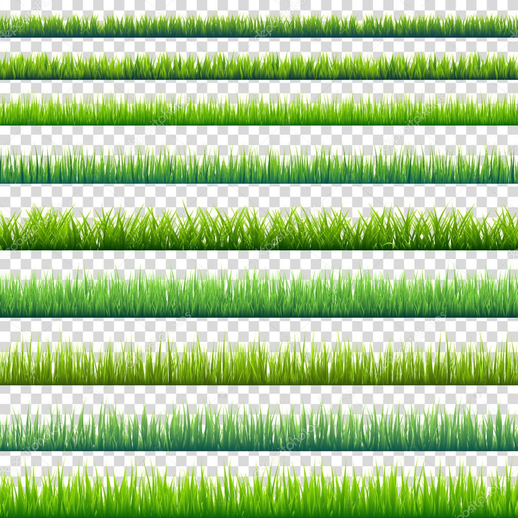 Grass isolated on transparent background set. Green meadow. Nature background. Spring, summer time.