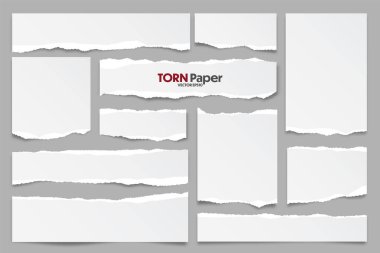 Beyaz yırtık kağıt şeritleri koleksiyonu. Yırtık kenarlı gerçekçi kağıt kırıntıları. Yapışkan notlar, defter sayfalarının parçaları. Vektör illüstrasyonu.