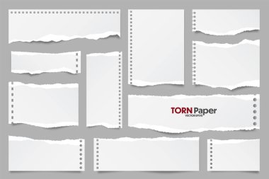Beyaz yırtık kağıt şeritleri koleksiyonu. Yırtık kenarlı gerçekçi kağıt kırıntıları. Yapışkan notlar, defter sayfalarının parçaları. Vektör illüstrasyonu.