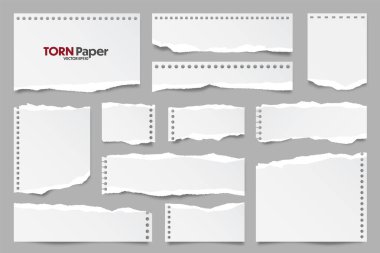Beyaz yırtık kağıt şeritleri koleksiyonu. Yırtık kenarlı gerçekçi kağıt kırıntıları. Yapışkan notlar, defter sayfalarının parçaları. Vektör illüstrasyonu.