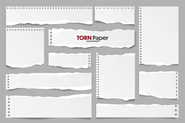 Coleção de tiras de papel rasgado branco. Sucatas de papel realistas com bordas rasgadas. Notas pegajosas, pedaços de páginas de cadernos. Ilustração vetorial . — Vetor de Stock