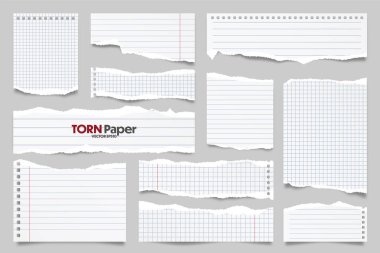 Beyaz çizgili kağıt şeritleri koleksiyonu. Yırtık kenarlı gerçekçi kağıt kırıntıları. Yapışkan notlar, defter sayfalarının parçaları. Vektör illüstrasyonu.