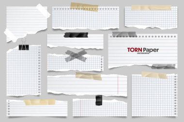 Beyaz çizgili kağıt şeritleri koleksiyonu. Yırtık kenarlı ve yapışkan bantlı gerçekçi kağıt kırıntıları. Yapışkan notlar, defter sayfalarının parçaları. Vektör illüstrasyonu.