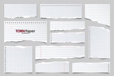 Beyaz çizgili kağıt şeritleri koleksiyonu. Yırtık kenarlı gerçekçi kağıt kırıntıları. Yapışkan notlar, defter sayfalarının parçaları. Vektör illüstrasyonu.