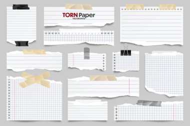 Beyaz çizgili kağıt şeritleri koleksiyonu. Yırtık kenarlı ve yapışkan bantlı gerçekçi kağıt kırıntıları. Yapışkan notlar, defter sayfalarının parçaları. Vektör illüstrasyonu.