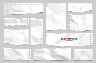 Beyaz yırtık kağıt şeritleri koleksiyonu. Yırtık kenarlı gerçekçi kağıt kırıntıları. Yapışkan notlar, defter sayfalarının parçaları. Vektör illüstrasyonu.