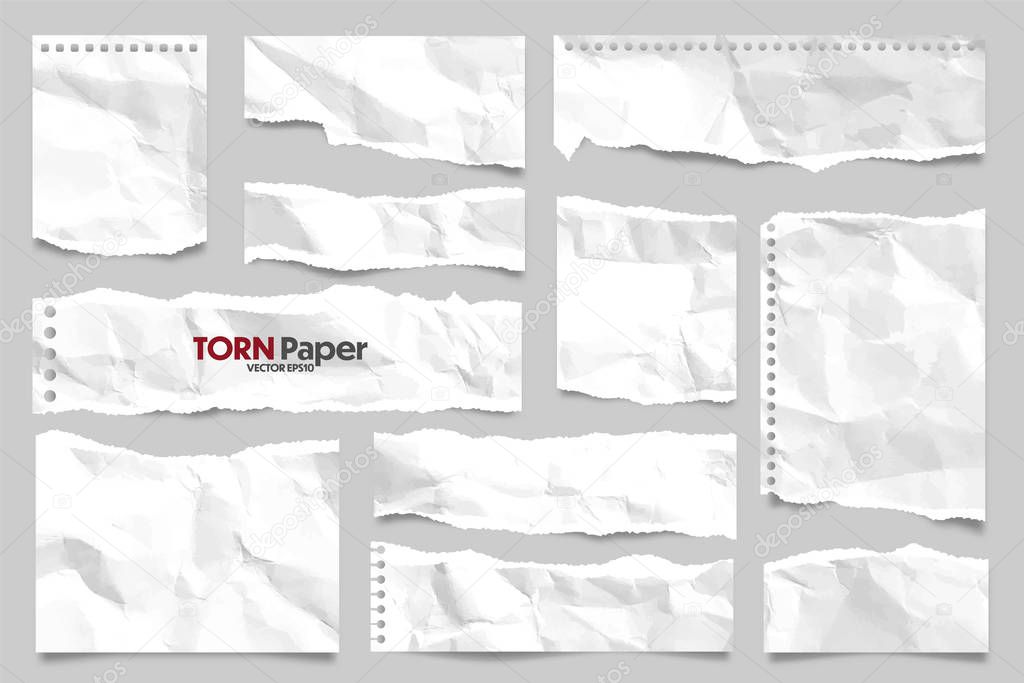 White ripped crumpled paper strips collection. Realistic paper scraps with torn edges. Sticky notes, shreds of notebook pages. Vector illustration.