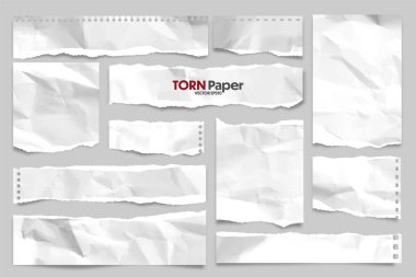 Beyaz yırtık kağıt şeritleri koleksiyonu. Yırtık kenarlı gerçekçi kağıt kırıntıları. Yapışkan notlar, defter sayfalarının parçaları. Vektör illüstrasyonu.