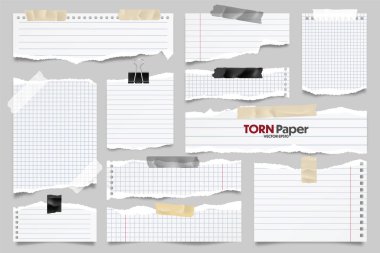 Beyaz çizgili kağıt şeritleri koleksiyonu. Yırtık kenarlı ve yapışkan bantlı gerçekçi kağıt kırıntıları. Yapışkan notlar, defter sayfalarının parçaları. Vektör illüstrasyonu.