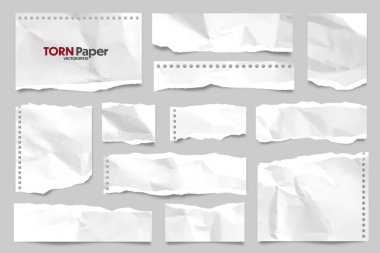 Beyaz yırtık kağıt şeritleri koleksiyonu. Yırtık kenarlı gerçekçi kağıt kırıntıları. Yapışkan notlar, defter sayfalarının parçaları. Vektör illüstrasyonu.