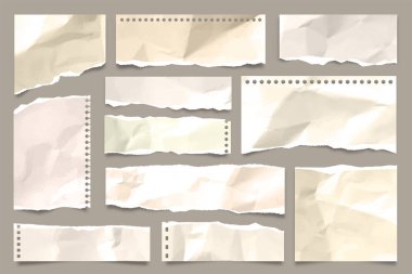 Yırtık renkli buruşuk kağıt şeritleri koleksiyonu. Yırtık kenarlı gerçekçi kağıt kırıntıları. Yapışkan notlar, defter sayfalarının parçaları. Vektör illüstrasyonu.