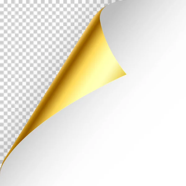 Realistiska gyllene curled sida hörn med skugga på rutig bakgrund. Design av gratulationskort. Tomma pappersark. Vektorillustration. — Stock vektor