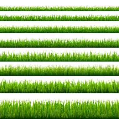 Grass borders collection. Green meadow nature background. Easter card design element. Vector illustration. clipart
