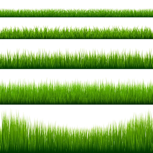 Kolekcja granic trawy. Zielona łąka w tle przyrody. Element projektu kartki wielkanocnej. Ilustracja wektora. — Wektor stockowy