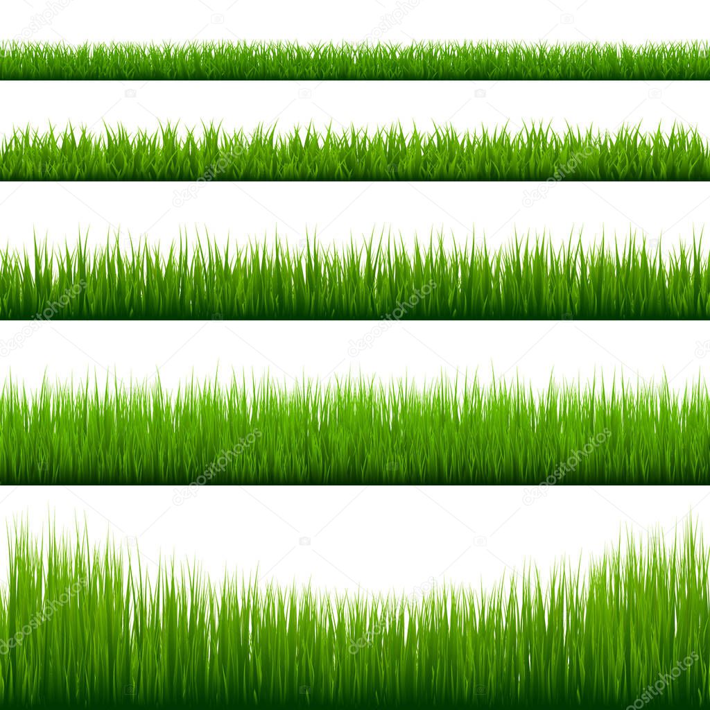 Grass borders collection. Green meadow nature background. Easter card design element. Vector illustration.