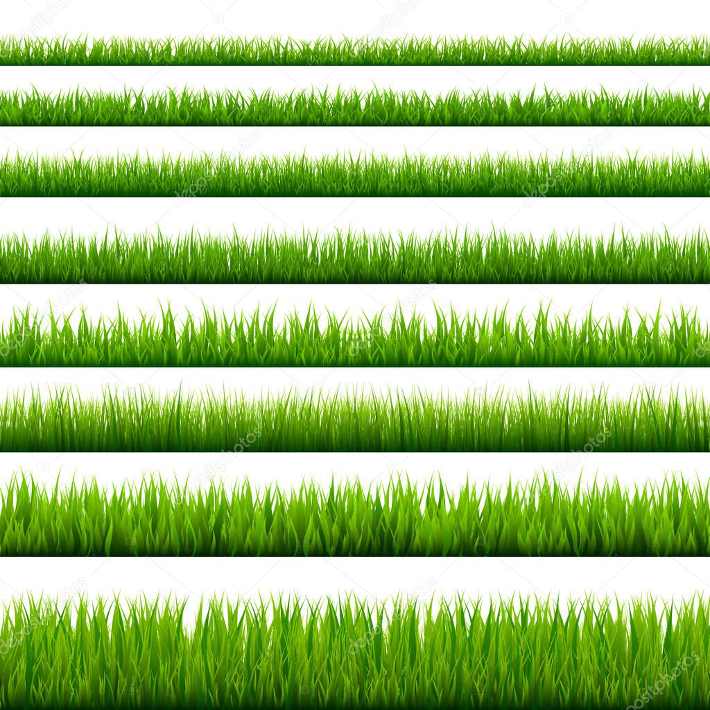 Grass borders collection. Green meadow nature background. Easter card design element. Vector illustration.