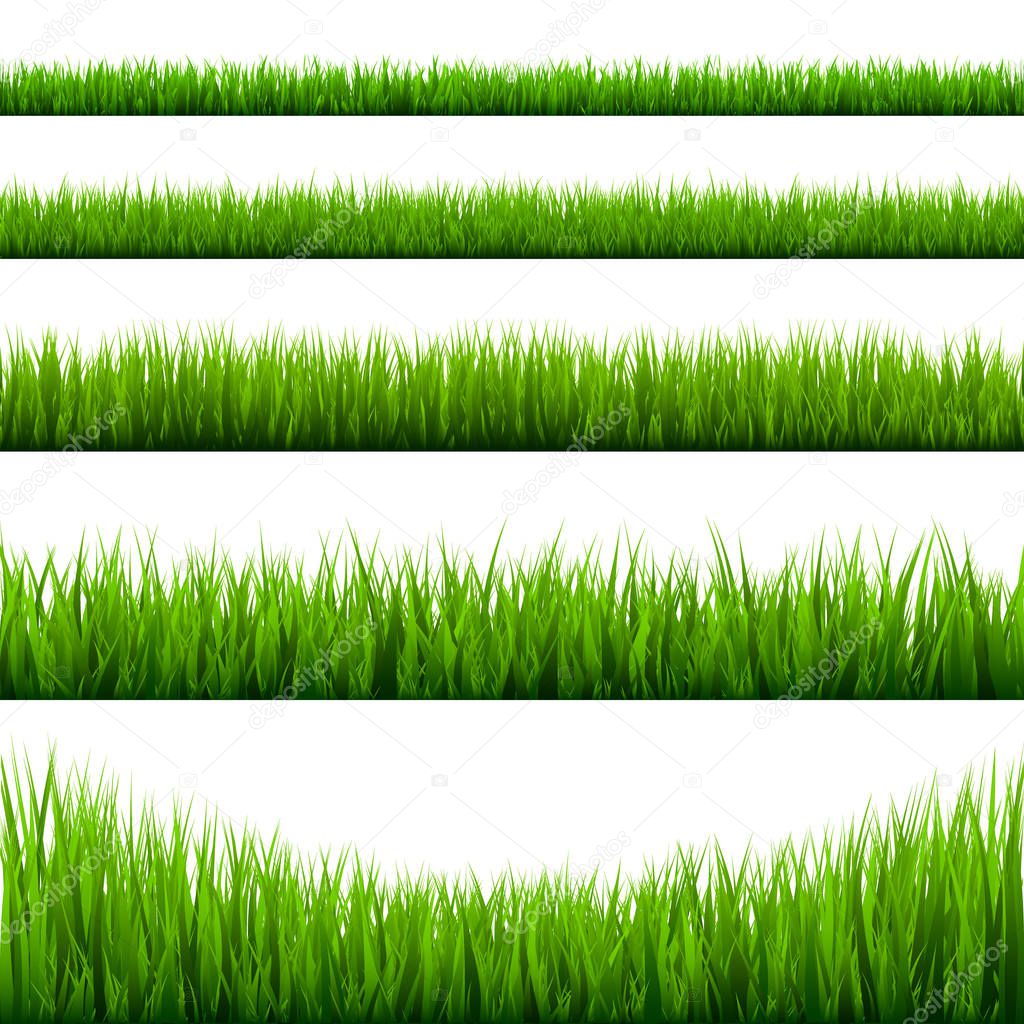 Grass borders collection. Green meadow nature background. Easter card design element. Vector illustration.