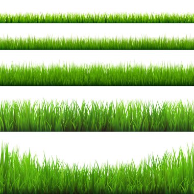 Grass borders collection. Green meadow nature background. Easter card design element. Vector illustration. clipart