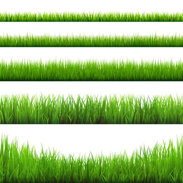 Kolekce okrajů trávy. Příroda na zelené louce. Prvek pro návrh velikonoční karty. Vektorová ilustrace. — Stockový vektor