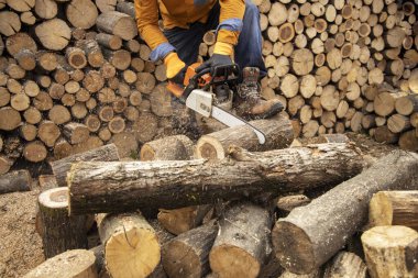 Tahta keserken elektrikli testere. Testereyle odun kesen adam, toz.