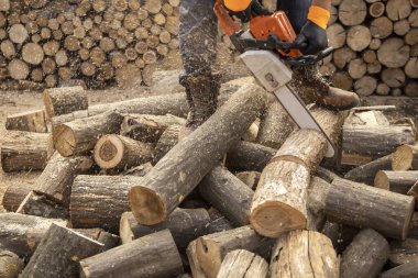 Tahta keserken elektrikli testere. Testereyle odun kesen adam, toz.