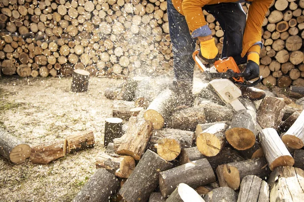 Chainsaw in action cutting wood. Man cutting wood with saw, dust