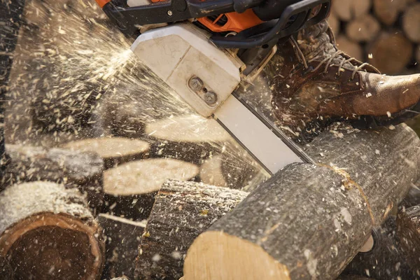 Chainsaw in action cutting wood. Man cutting wood with saw, dust