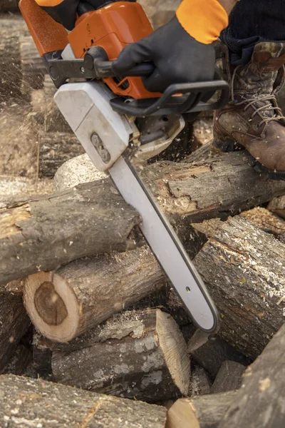 Chainsaw in action cutting wood. Man cutting wood with saw, dust