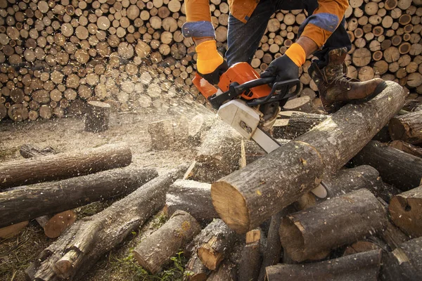 Motosega in azione tagliando legno. Uomo taglio legno con sega, polvere — Foto Stock
