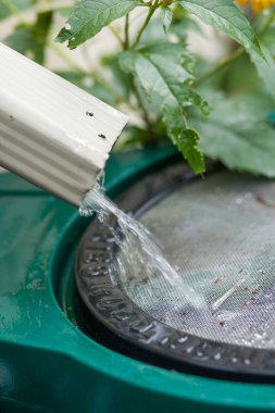 Yağmur varil içine akan su