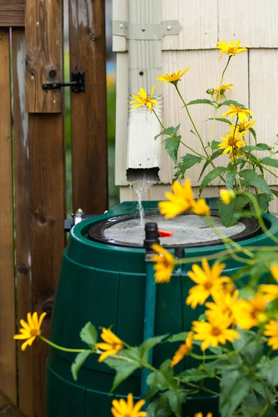 Water flowing into rain barrel