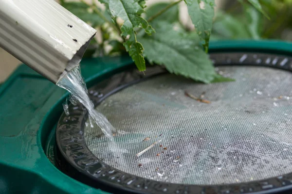 Water flowing into rain barrel