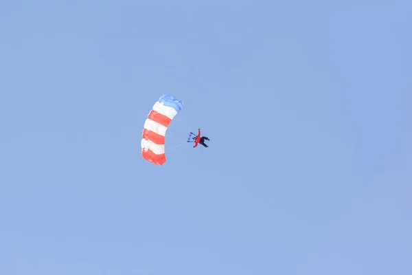 Patriot Parachute Team — Stockfoto