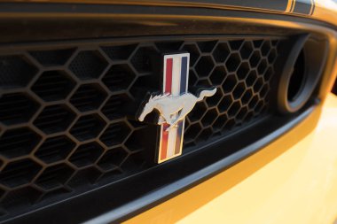 Ford Mustang amblemi ekranda