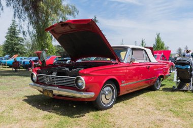 Plymouth yiğit ekranda