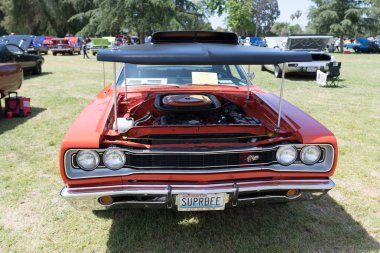 Dodge süper arı ekranda