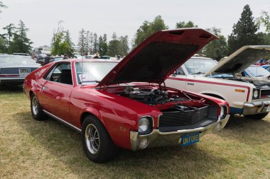 AMC Amx ekranda