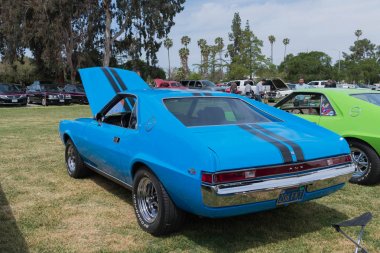 AMC Amx ekranda