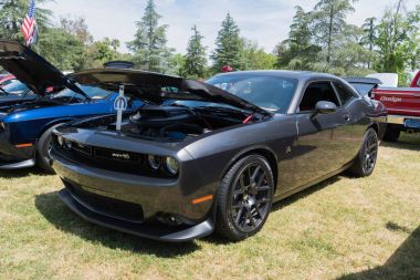 Dodge Charger Srt ekranda