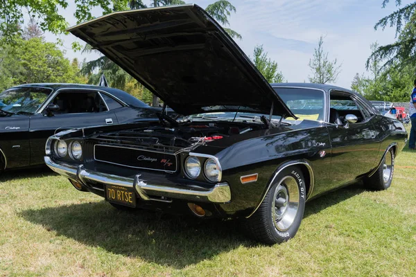 Dodge Challenger Rt ekranda