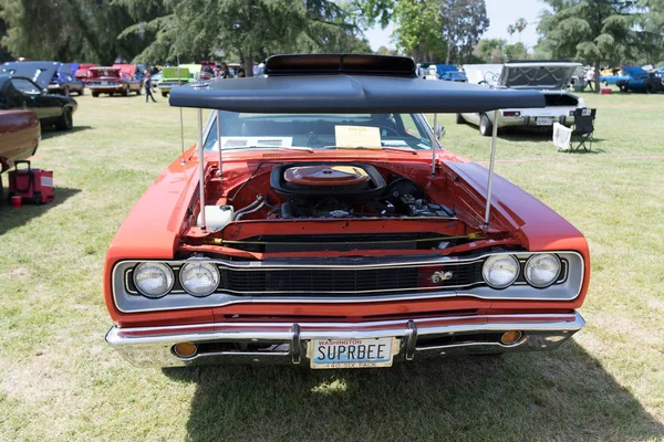 Dodge süper arı ekranda