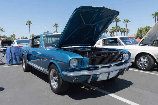 Azul Ford Mustang GT 350 1a geração em exposição — Fotografia de Stock