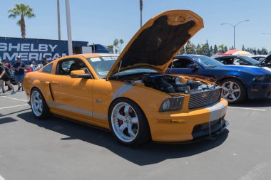 Ford Mustang Shelby Gt ekran beşinci nesil 