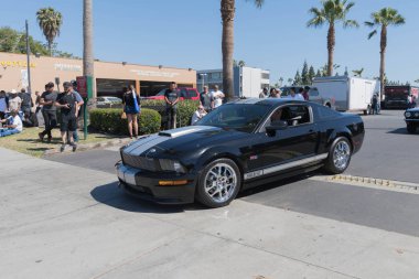 Ford Mustang Shelby Gt ekran beşinci nesil 