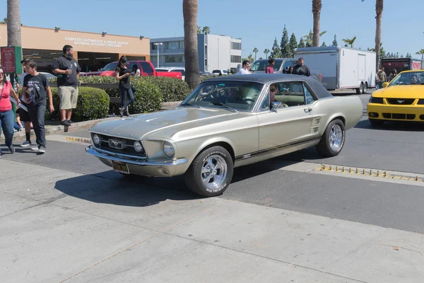 Metalic Ford Mustang vinil primeira geração superior em exposição — Fotografia de Stock