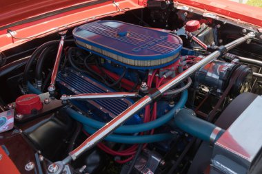 Ford Mustang Gt 350 R motor ekranda