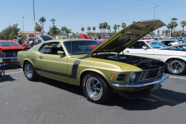 Ford Mustang patron 302 ekranda