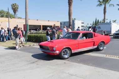 Ford Mustang Gt 500 ekranda