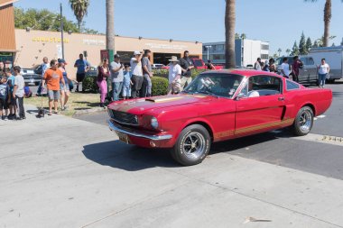 Ford Mustang Gt 350 H görüntüleme